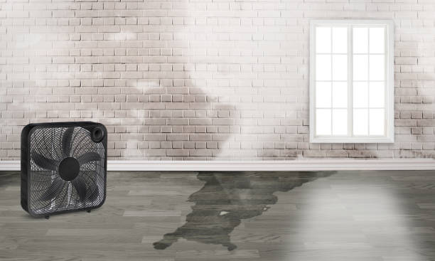 Best 24/7 water damage repair  in Aurora, NE