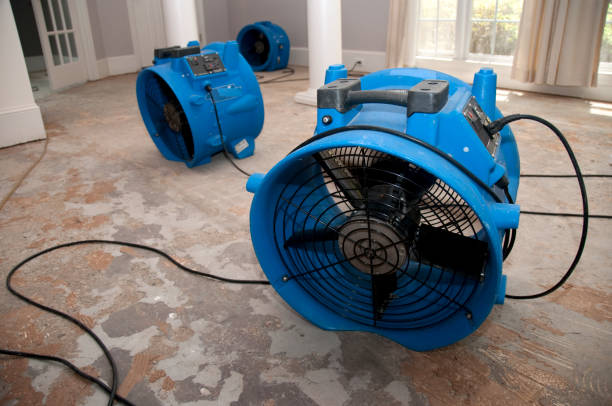Best Professional water damage repair  in Aurora, NE