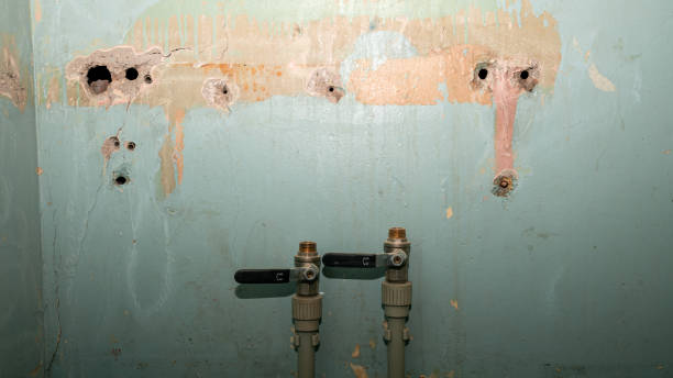 Trusted Aurora, NE Water damage restoration Experts