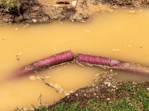 Best Water damage mitigation services  in Aurora, NE